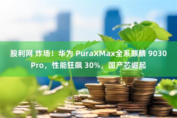 股利网 炸场！华为 PuraXMax全系麒麟 9030Pro，性能狂飙 30%，国产芯崛起